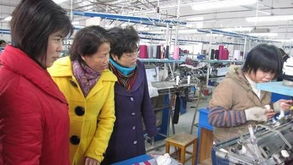 廣西賀州市僑務部門深入一線調研，精準服務僑資企業促發展